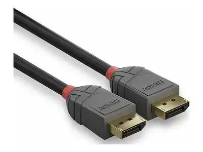 Lindy Anthra Line - DisplayPort cable - DisplayPort to DisplayPort - 50 cm Фото num
