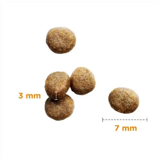 Sausā barība kaķēniem - IAMS CAT KITTEN CHICKEN 3 kg Foto 2