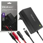 Qoltec Automatic charger for AGM GEL STD batteries | 12V charger | 2A | 24W | 5.5x2.1 | 1.8m cable Photo
