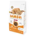 Sausā barība kaķiem - IAMS CAT ADULT INDOOR CHICKEN, 2 kg Foto 1