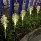 Forever Light Solar LED Lamp SUNARI FLS-81 grass 3000K 300mAh Ni-MH Фото num