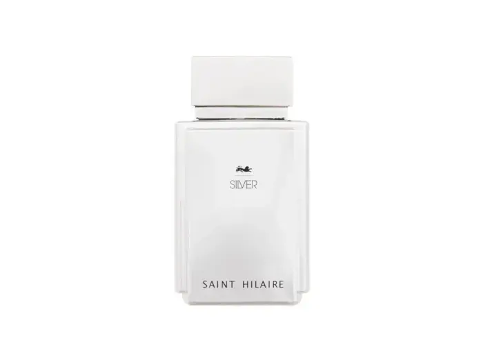 Saint Hilaire Silver (EDP) парфюмерная вода для мужчин 100 мл