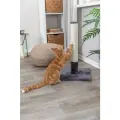 Nagu asināmais - Trixie Batres scratching post, 62 cm, platinum grey Foto 2
