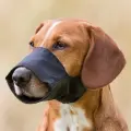 Muzzle for dogs - Trixie Muzzle, Nylon. Size XS, Snoup strap 16 cm, 5 cm Photo