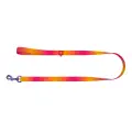 WAUDOG gradient nylon dog leash, 15mm wide, 122cm long, orange Photo