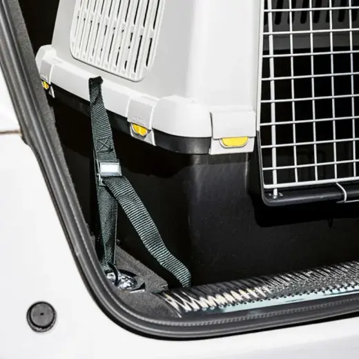Seat belts for the car 3 pcs. for transport cage Gulliver Touring Photo