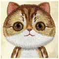 Nimmy Big Eyed Pet 2.0 Cat phone case for iPhone 15 brown Photo