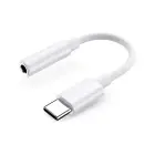 Samsung GP-TGU023AE DAC USB-C to 3.5mm mini jack adapter - white Photo