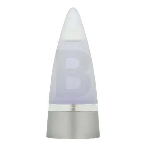 Rochas Rochas Man Туалетная вода для мужчин 100 мл Фото num