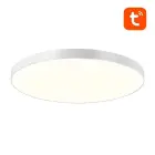 Smart ceiling lamp 30cm Bluetooth 16M RGBCW Gosund LB13 1600lm Tuya + Remote Control. Фото num