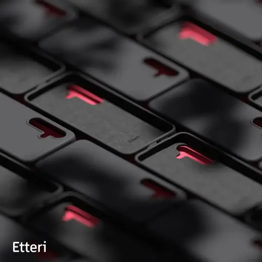 Etteri Silicone case for Samsung Galaxy S24 black Photo