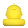 Night lamp W-007 Duck Photo
