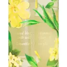 VS Victoria's Secret Wild Willow Fragrance Body Lotion and Mist Set NEW Foto 1