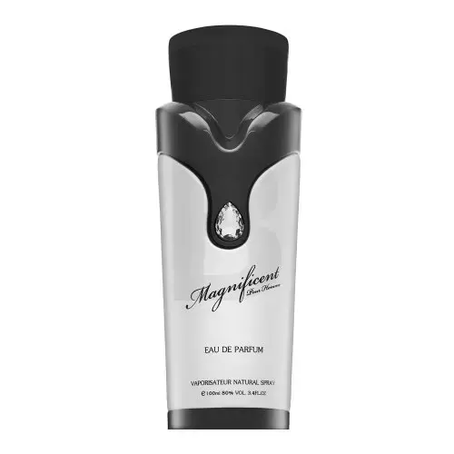 Armaf Magnificent (EDP) парфюмерная вода для мужчин 100 мл
