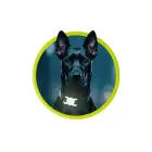 Mobile Origin AirTag Pet Collar, luminous green — Photo 9