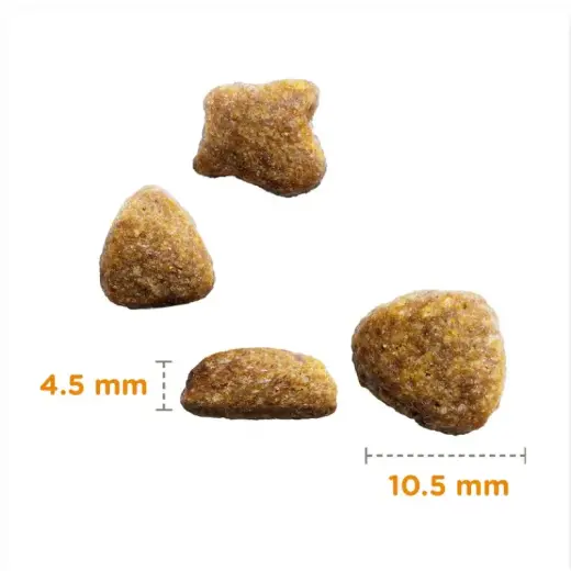 Sausā barība kaķiem - IAMS CAT ADULT OCEAN FISH, 3kg Foto 2