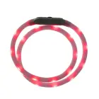 Silicone LED Pet Collar LLFG24034 — Foto 4