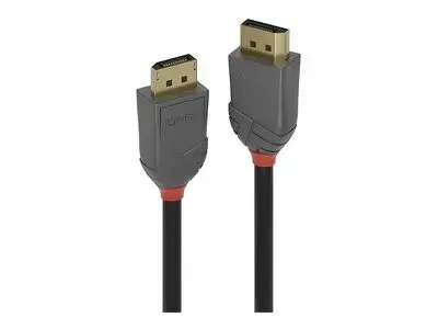 Lindy Anthra Line - DisplayPort cable - DisplayPort to DisplayPort - 50 cm Фото num