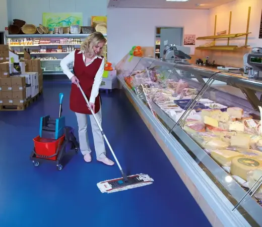 LEIFHEIT Тележка для уборки Duo Professional 2x17л Фото num