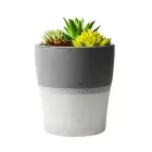 Setty humidifier NP-18 grey Foto 3