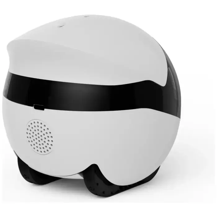Intelligent companion robot ENABOT   ROLAMINI Фото num
