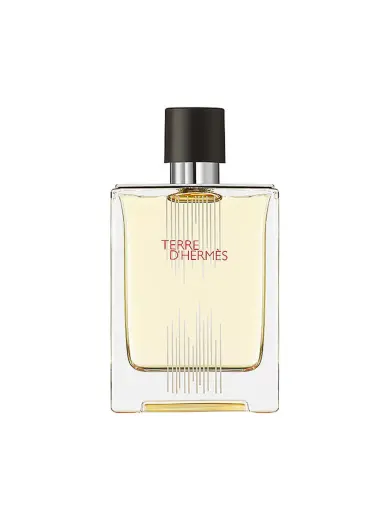 Hermes, Terre d'Hermes Flacon H Limited Edition, Eau De Toilette, For Men, 100 ml Фото num