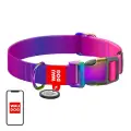 Waudog gradient nylon dog collar with QR code, purple , size XL Фото num