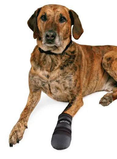 Защитные ботинки для собак - Trixie Walker Care Protective Boots "XL" 2pcs, German Shepherd Фото num