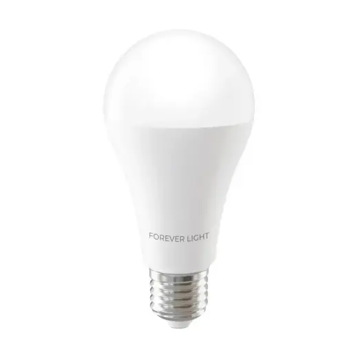 Forever Light LED Bulb E27 A65 17W 2100lm 3000K class E