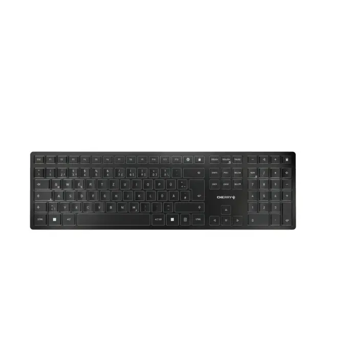 CHERRY Keyboard JK9100K / JK-9100DE-2 Black