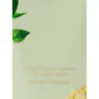 VS Victoria's Secret Wild Willow Fragrance Body Lotion and Mist Set NEW Foto 2