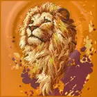 Etui Nimmy Lew MagSafe do iPhone 17 Pro   pomarańczowy Foto 6