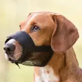 Muzzle for dogs - Trixie Muzzle, Nylon. Size M- L, Snoup strap 23-31 cm, 5.9cm Photo
