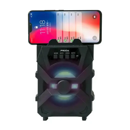 Proda Xunshen портативная беспроводная Bluetooth-колонка FM-радио | SD-кардридер | AUX | USB черный Фото num