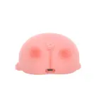 LED Night Lamp SLEEPY PIG FNL-09 Forever Light Photo