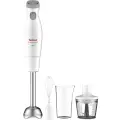 TEFAL Rokas blenderis Tefal Easychef 3in1, 450W, balts/nerūsējošais tērauds Photo