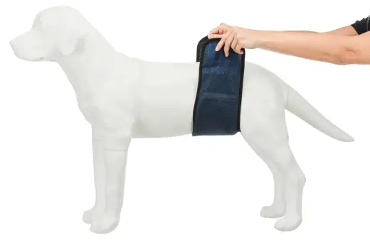 Autiņbiksītes suņiem : Trixie Diapers for male dogs, mesh material, L: 55–65 cm, dark blue Foto 6