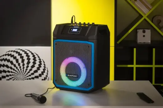 Blaupunkt power audio speaker MB06.2 Фото num