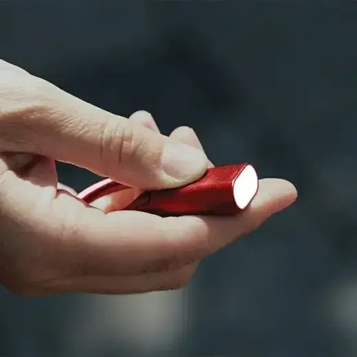 Lexon Nomaday Keychain with Flashlight dark red LL136DR Foto 5