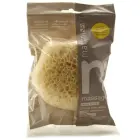 Fine sponge Natural — Photo 2