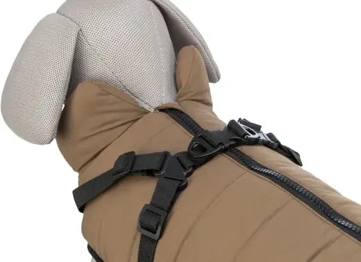 Apģērbs suņiem - Trixie Pirou winter coat with harness, XS: 30 cm, sand Foto 2
