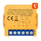 Smart socket switch ZigBee Avatto ZDMS16-2 TUYA Foto 1