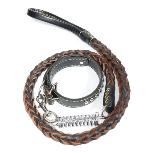 Pavada suņiem ar kaklasiksnu, ādas Foto 1