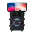 Proda Xunshen портативная беспроводная Bluetooth-колонка FM-радио | SD-кардридер | AUX | USB черный Фото num