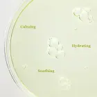 Beauty of Joseon Calming Serum Green Tea + Panthenol 30ml Foto 6