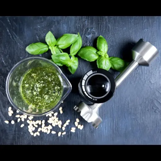 Gastronoma rokas blenderis, 1000W Photo
