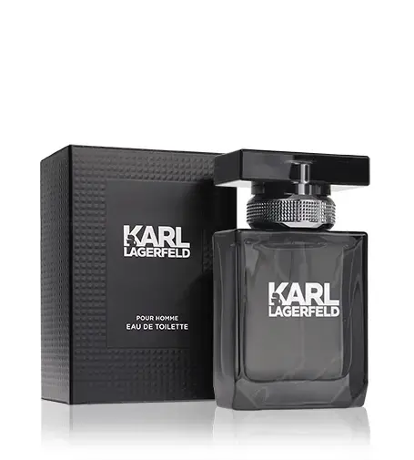 Karl Lagerfeld Pour Homme (EDT) tualetes ūdens vīriešiem 100 ml