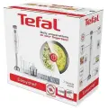 TEFAL Rokas blenderis Tefal Easychef 3in1, 450W, balts/nerūsējošais tērauds Photo