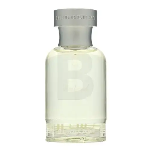 Burberry Weekend for Men Туалетная вода для мужчин 50 мл Фото num