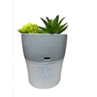 Setty humidifier NP-18 grey Foto 4